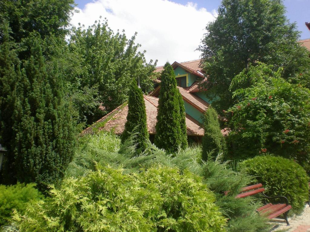 Vinski Dvor Palić Extérieur photo
